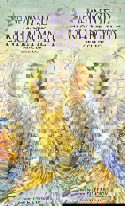 Winged Enchantment Oracle Deck:  9781572816732 Front Cover