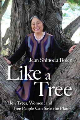 Like a Tree How Trees, Women, and Tree People Can Save the Planet  9781573244886 Front Cover