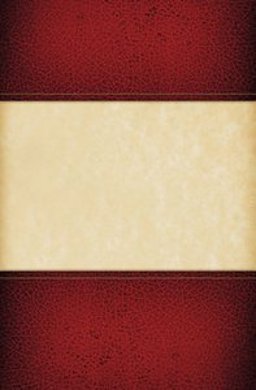 Encuentro and Mission : A Renewed Pastoral Framework for Hispanic Ministry = Encuentro y Misión: Un Marco Pastoral Renovado para el Ministerio Hispano 2002 9781574554960 Front Cover