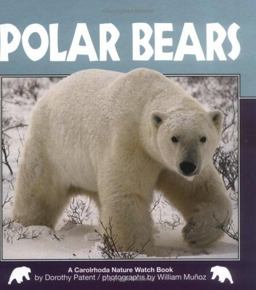 Polar Bears