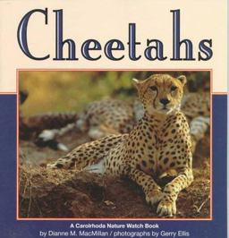 Cheetahs