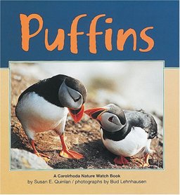 Puffins