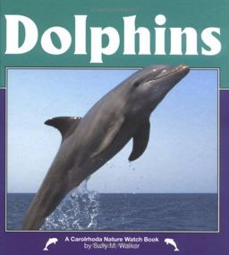 Dolphins