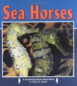 Sea Horses