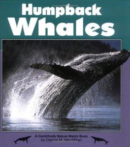 Humpback Whales