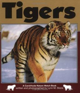 Tigers Tigers