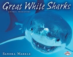 Great White Sharks