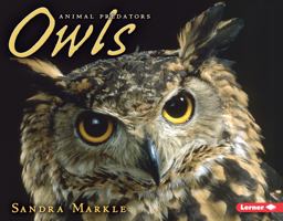 Owls  9781575057453 Front Cover