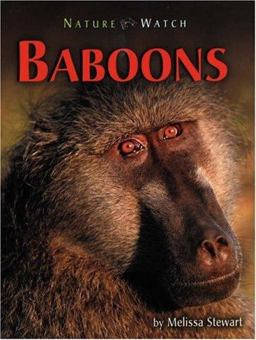 Baboons