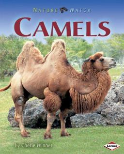 Camels