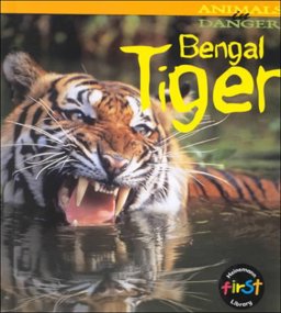 Bengal Tiger