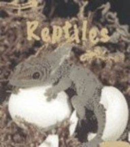Reptiles