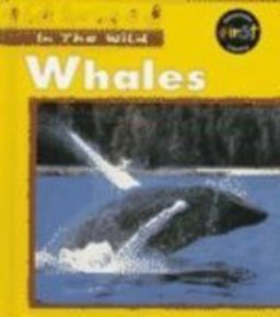 Whale Whale