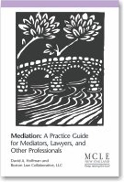 Mediation A Practice Guide for Mediators, Lawyers, and Other Professionals  9781575898070 Front Cover