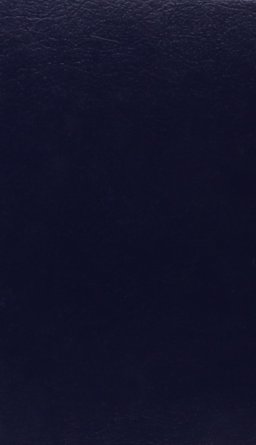 Tom Swift and His Giant Cannon