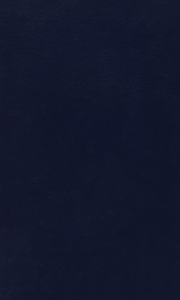 Tom Swift and His Air Scout