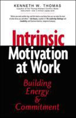 Intrinsic Motivation at Work Building Energy and Commitment 2nd 9781576752388 Front Cover