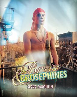 Bros and Brosephines  9781576878248 Front Cover