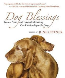 Dog Blessings