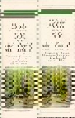 Light for My Path : Illuminating Selections from the Bible 1st 9781577485360 Front Cover