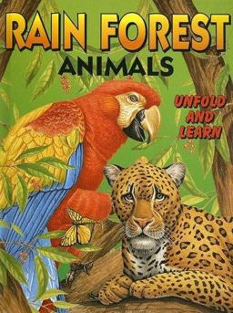 Rainforest Animals