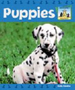 Puppies