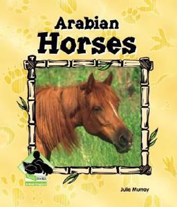 Arabian Horses