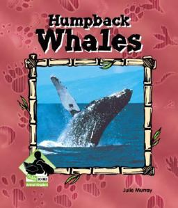 Humpback Whales