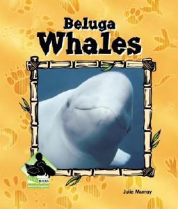 Beluga Whales