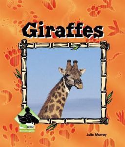 Giraffes