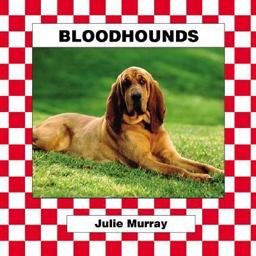 Bloodhound