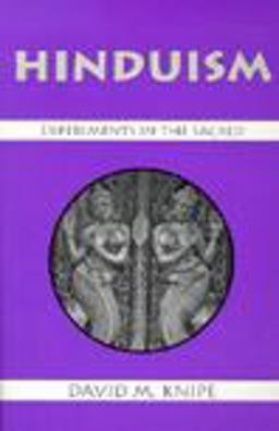 Hinduism Experiments in the Sacred  9781577660118 Front Cover