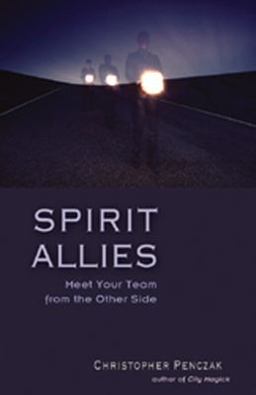 Spirit Allies Meet Your Team from the Other Side  9781578632145 Front Cover