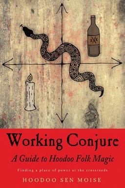 Working Conjure A Guide to Hoodoo Folk Magic  9781578636273 Front Cover