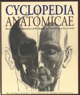 Cyclopedia Anatomicae More Than 1,500 Illustrations of the Human and Animal Figure for the Artist  9781579125912 Front Cover