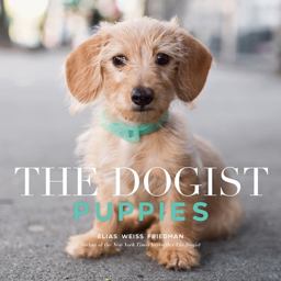 Dogist Puppies  9781579658694 Front Cover