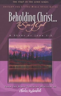 Beholding Christ... the Son of God