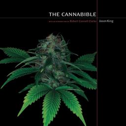 Cannabible  9781580082082 Front Cover