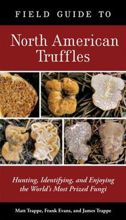 Field Guide to North American Truffles Hunting, Identifying, and Enjoying the World's Most Prized Fungi  9781580088626 Front Cover