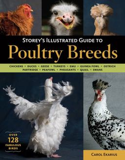 Storey's Illustrated Guide to Poultry Breeds Chickens, Ducks, Geese, Turkeys, Emus, Guinea Fowl, Ostriches, Partridges, Peafowl, Pheasants, Quails, Swans  9781580176675 Front Cover