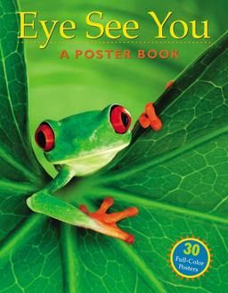 Eye See You A Poster Book  9781580178488 Front Cover