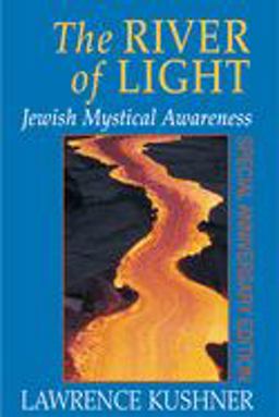 River of Light Jewish Mystical Awareness  9781580230964 Front Cover