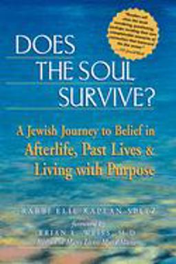 Does the Soul Survive? A Jewish Journey to Belief in Afterlife, Past Lives and Living with Purpose  9781580231657 Front Cover