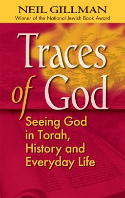 Traces of God Seeing God in Torah, History and Everyday Life  9781580233699 Front Cover