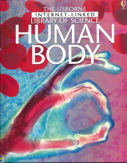 Human Body - Group 1