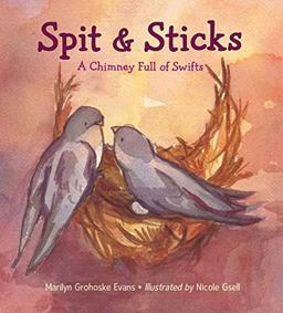 Spit and Sticks A Chimney Full of Swifts  9781580895880 Front Cover