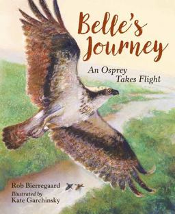 Belle's Journey An Osprey Takes Flight  9781580897921 Front Cover