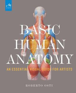 Basic Human Anatomy An Essential Visual Guide for Artists  9781580934381 Front Cover