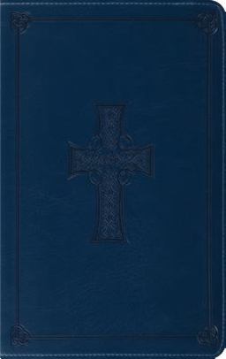 BattleZone Bible  9781581347654 Front Cover