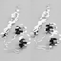 The Stones of Venice